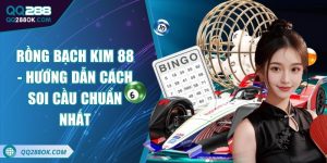 Rồng bạch kim 88