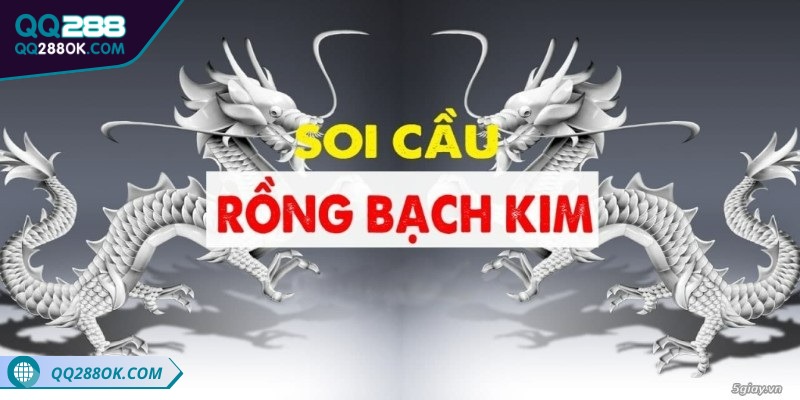 Điểm nổi bật của rồng bạch kim 88